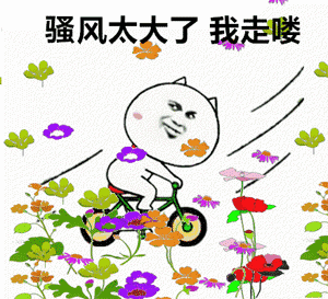 示例图片